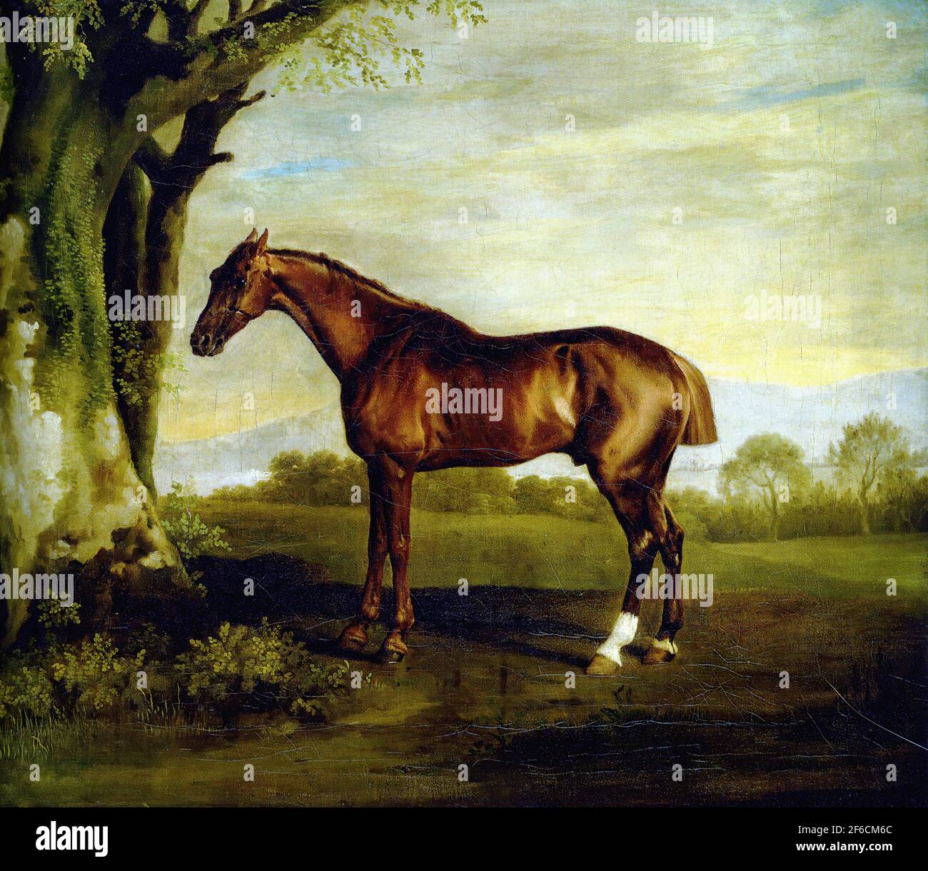 George Stubbs - Chestnut Racehorse Banque D'Images