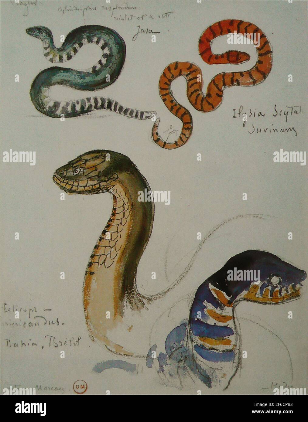 Gustave Moreau - quatre études serpents Banque D'Images