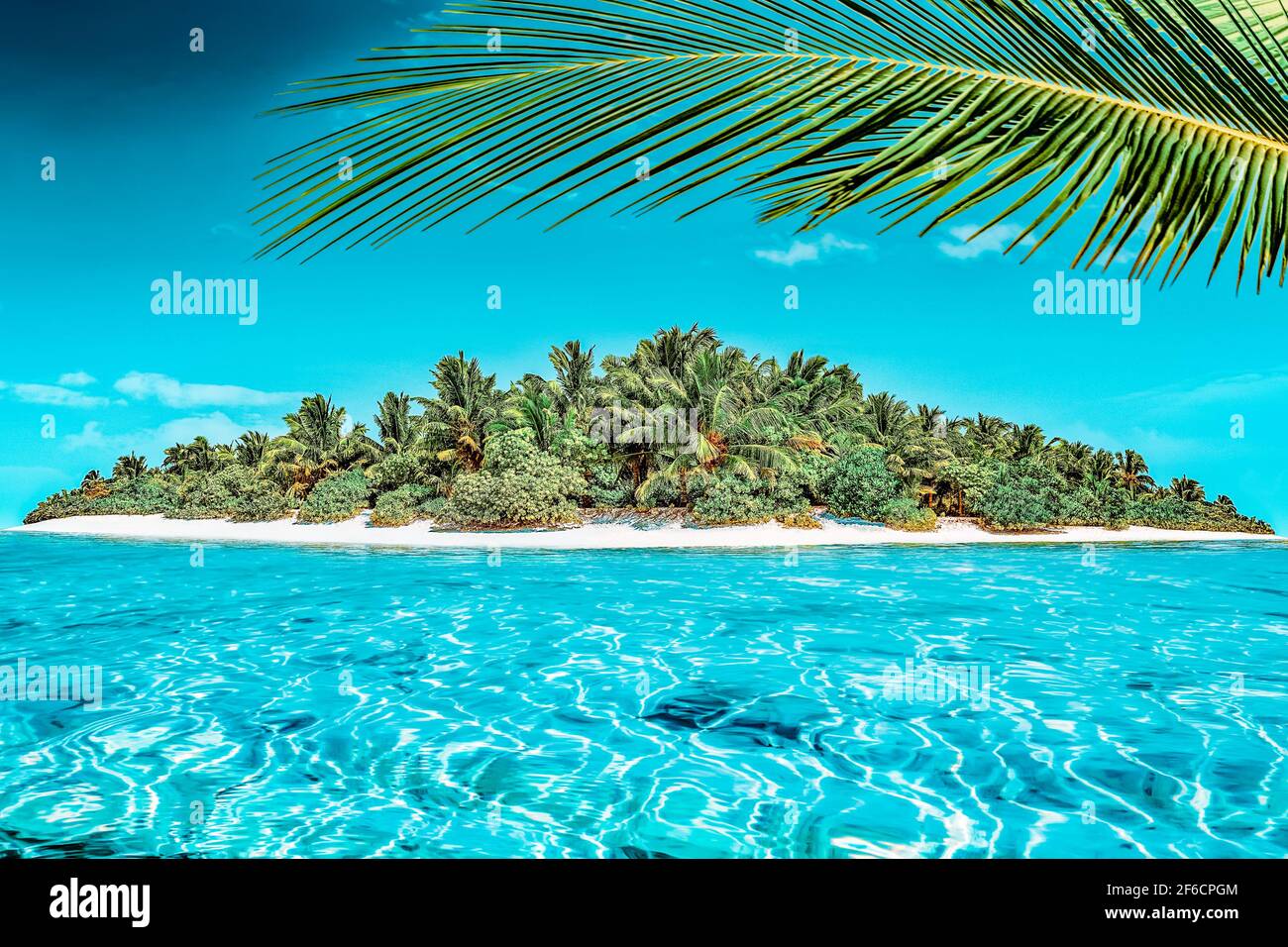 Ensemble de l'île tropicale dans l'océan tropical dans l'atoll. Île subtropicale sauvage et inhabitée de palmiers. La partie de l'océan, c'est tropical Banque D'Images