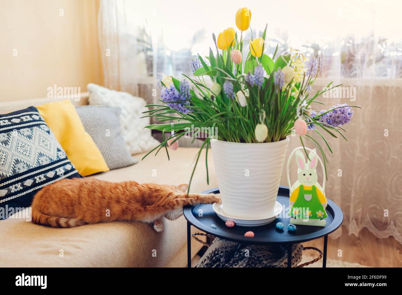 Decoration De Paques Chat Jouant Avec Des Oeufs Par Fleurs De Printemps Dans Le Pot A La Maison Animaux De Compagnie S Amusant Sur La Table Interieur Des Fetes Photo Stock Alamy Decoration De Paques Chat Jouant Avec Des Oeufs Par Fleurs De Printemps Dans Le Pot A La Maison Animaux De Compagnie S Amusant Sur La Table Interieur Des Fetes Photo Stock Alamy