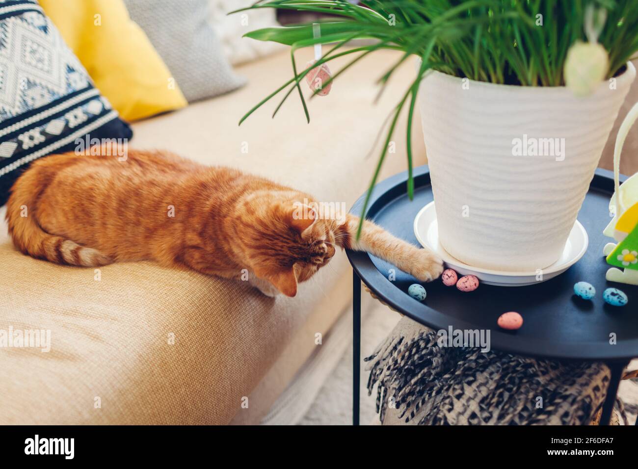 Décoration de Pâques. Chat jouant avec des oeufs par fleurs de printemps dans le pot à la maison. Animaux de compagnie s'amusant sur la table. Intérieur des fêtes Banque D'Images