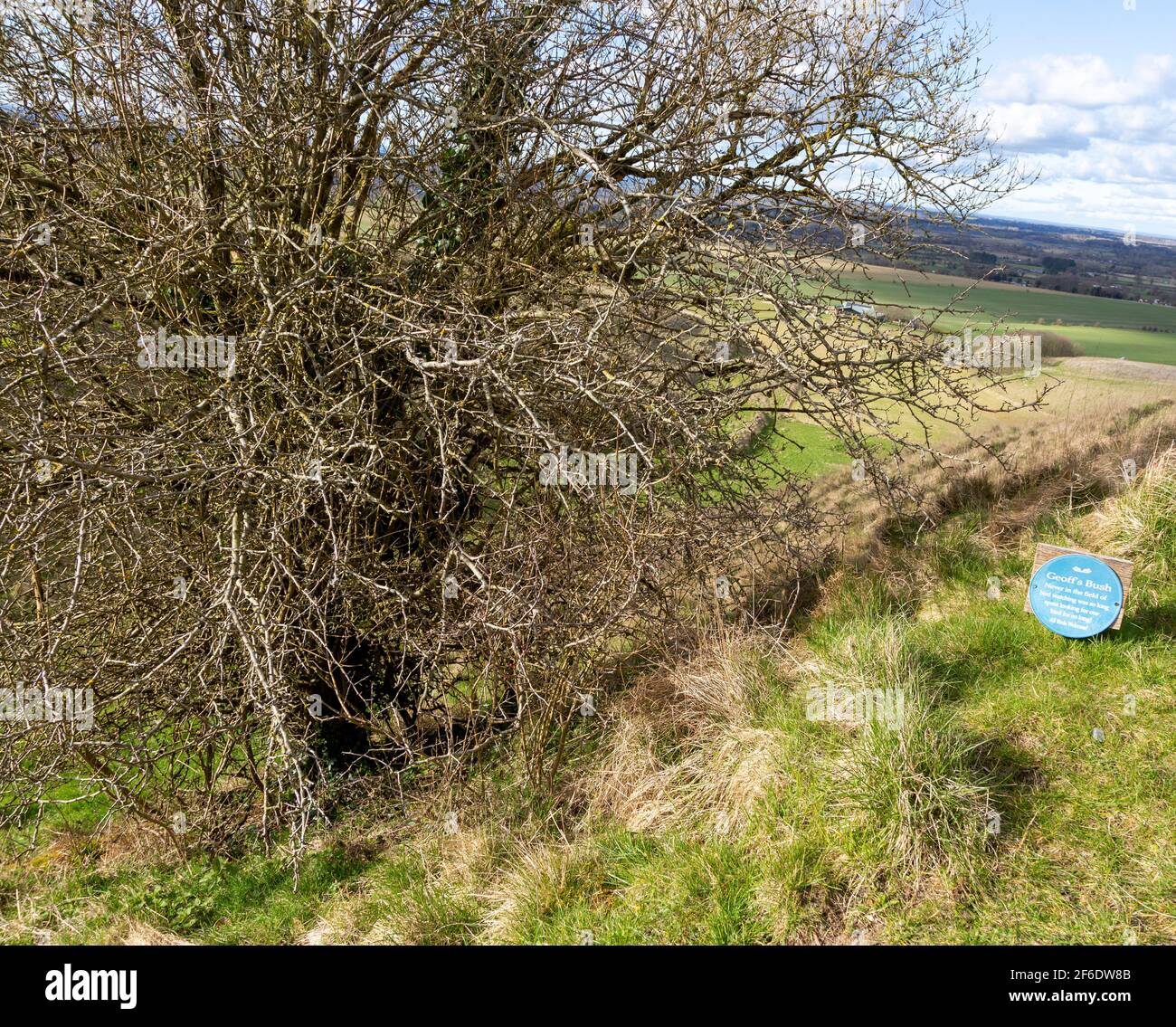 Panneau humoristique d'observation des oiseaux Geoff's Bush, Morgan's Hill, Wiltshire, Angleterre, Royaume-Uni Banque D'Images