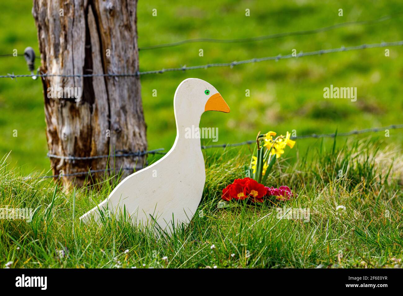 Canard au lapin traditionnel de pâques d'Herleshausen à Hesse Banque D'Images