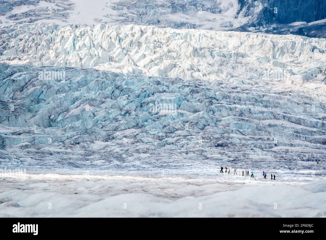 Ligne de touristes marchant sur le glacier Athabasca, dans le champ de glace de Columbia, dans le parc national Jasper, dans les montagnes Rocheuses, en Alberta, au Canada Banque D'Images