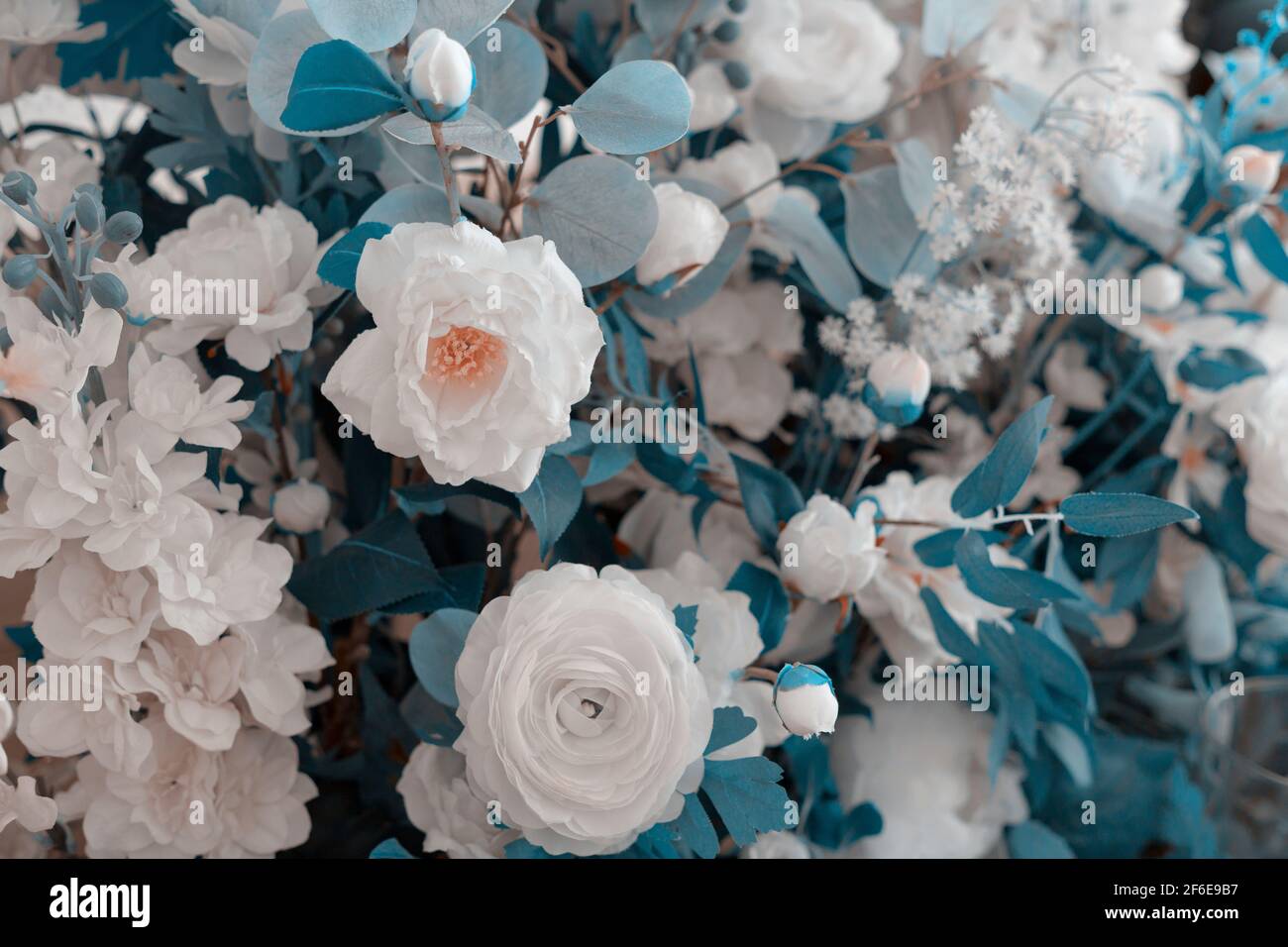 Décoration avec feuilles de magenta et fleurs blanches. Arrière-plan des fleurs Banque D'Images