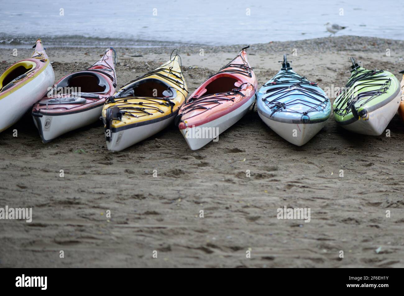 une rangée de kayaks sur une plage de sable près de l'eau Banque D'Images