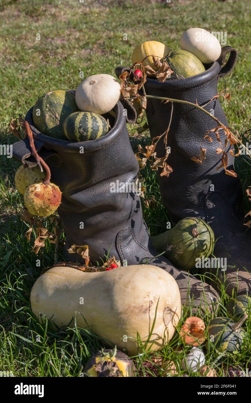 vieilles bottes en cuir avec décoration d'automne Banque D'Images