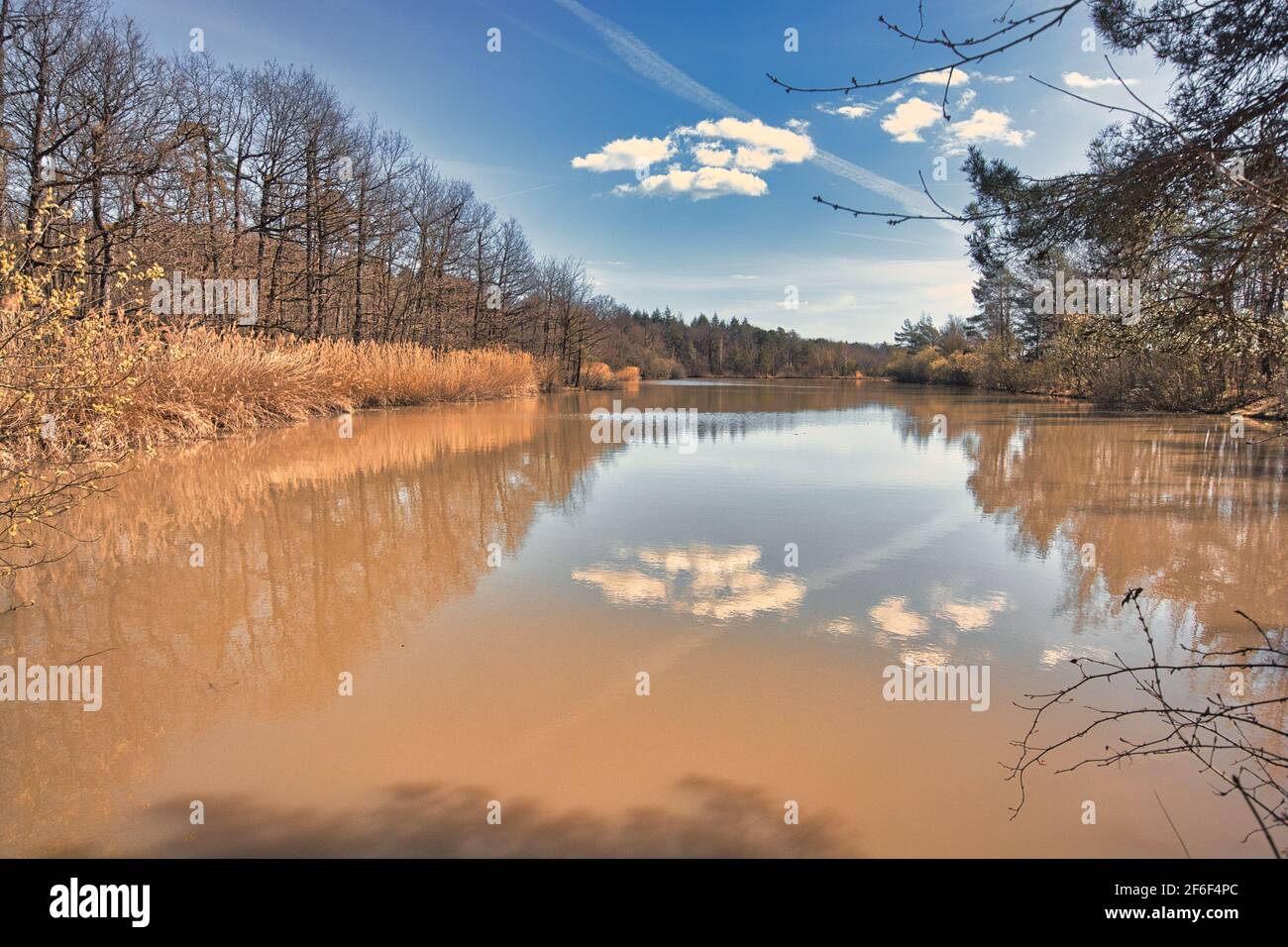 Lac dans un village du sud de l'Allemagne, appelé Häfnerhaslach, début du printemps Banque D'Images