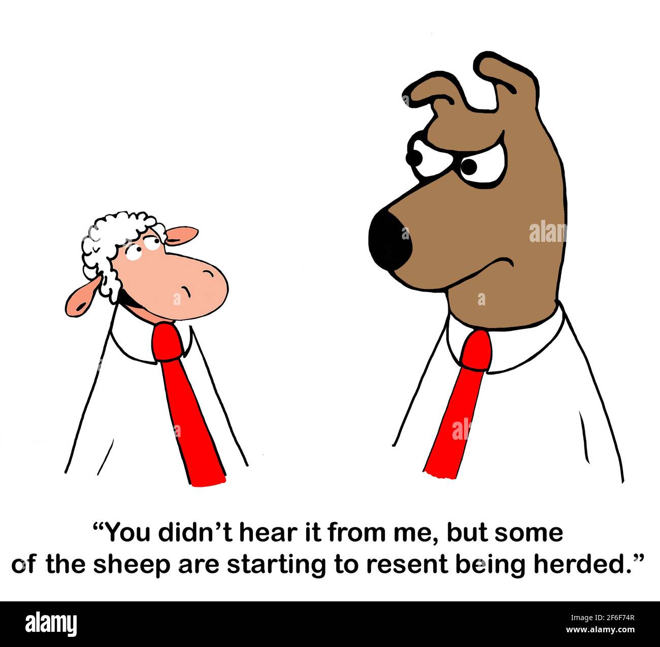 Un associé de moutons murmure au patron que les moutons sont ressentis. Banque D'Images