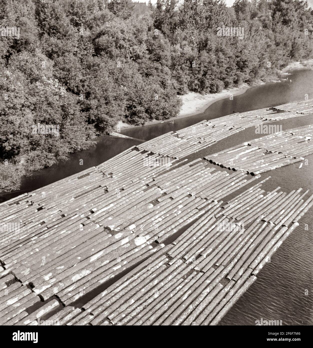 Radeaux de bûche sur la rivière Williamette entre Salem et Independence, Oregon. 1939 Photographie par Dorothea Lange. Banque D'Images