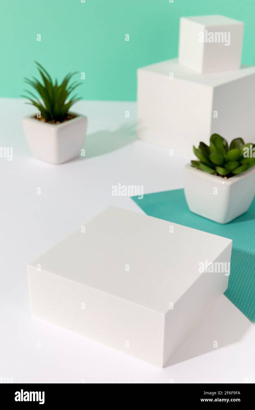 Maquette d'arrière-plan abstraite avec podium pour l'affichage des produits et plantes de maison Banque D'Images