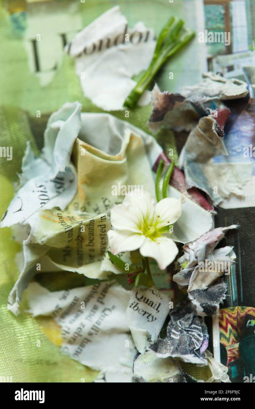 Collage de supports mixtes - couverture créative utilisant du papier, du tissu, des matières organiques Banque D'Images