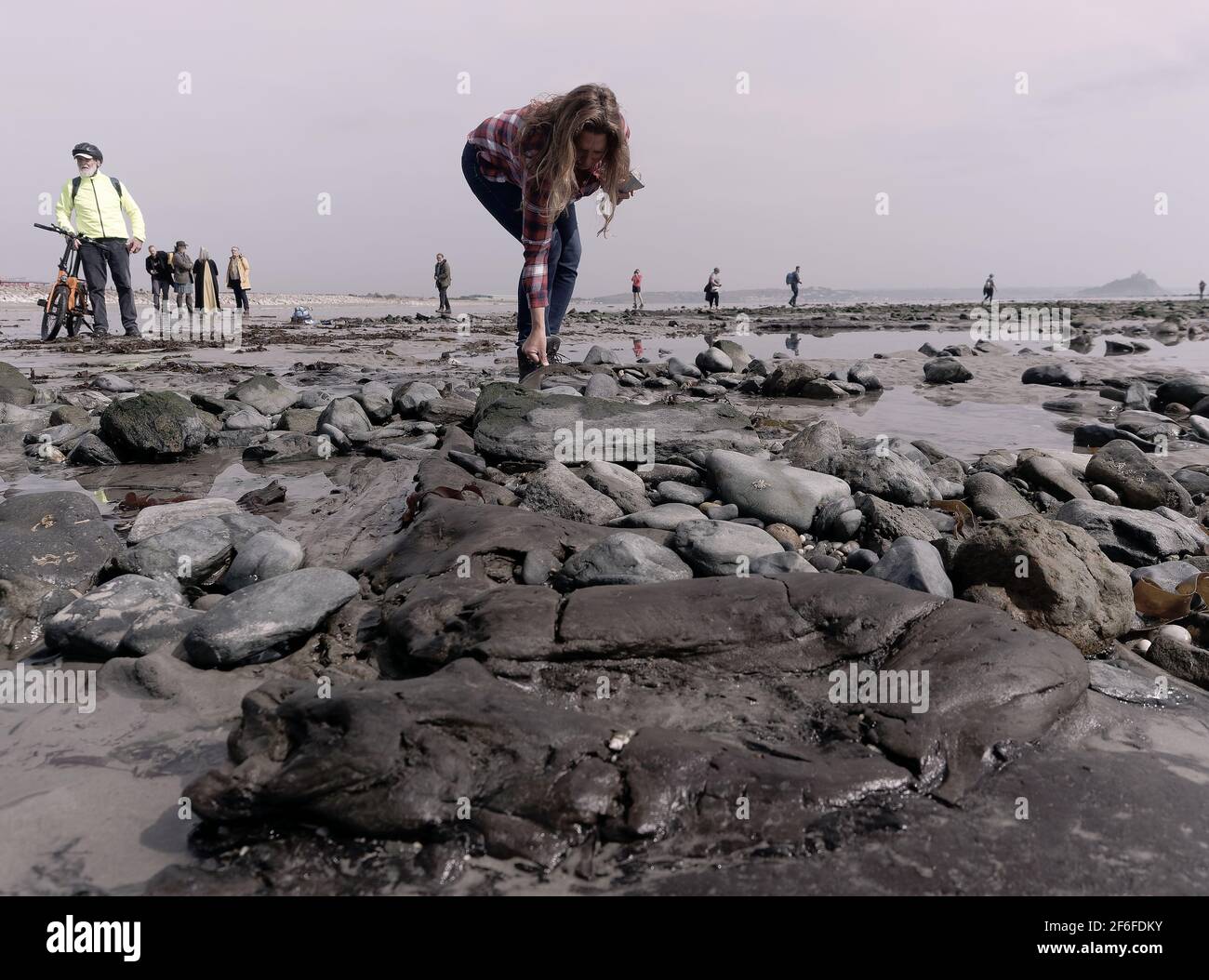 Penzance, Cornwall, Royaume-Uni. 31 mars 2021. La marée basse révèle des arbres submergés d'il y a 6000 ans. La forêt couvrait la baie Mounts jusqu'à ce qu'elle soit submergée par les mers montantes et préservée dans des lits de tourbe. Les lits de tourbe en vue du mont St Michaels à Chyandour ont été carbone datant d'il y a entre quatre et six milliers d'années. Penzance. Cornwall, Angleterre, 31 mars 2021, crédit : Robert Taylor/Alay Live News Banque D'Images