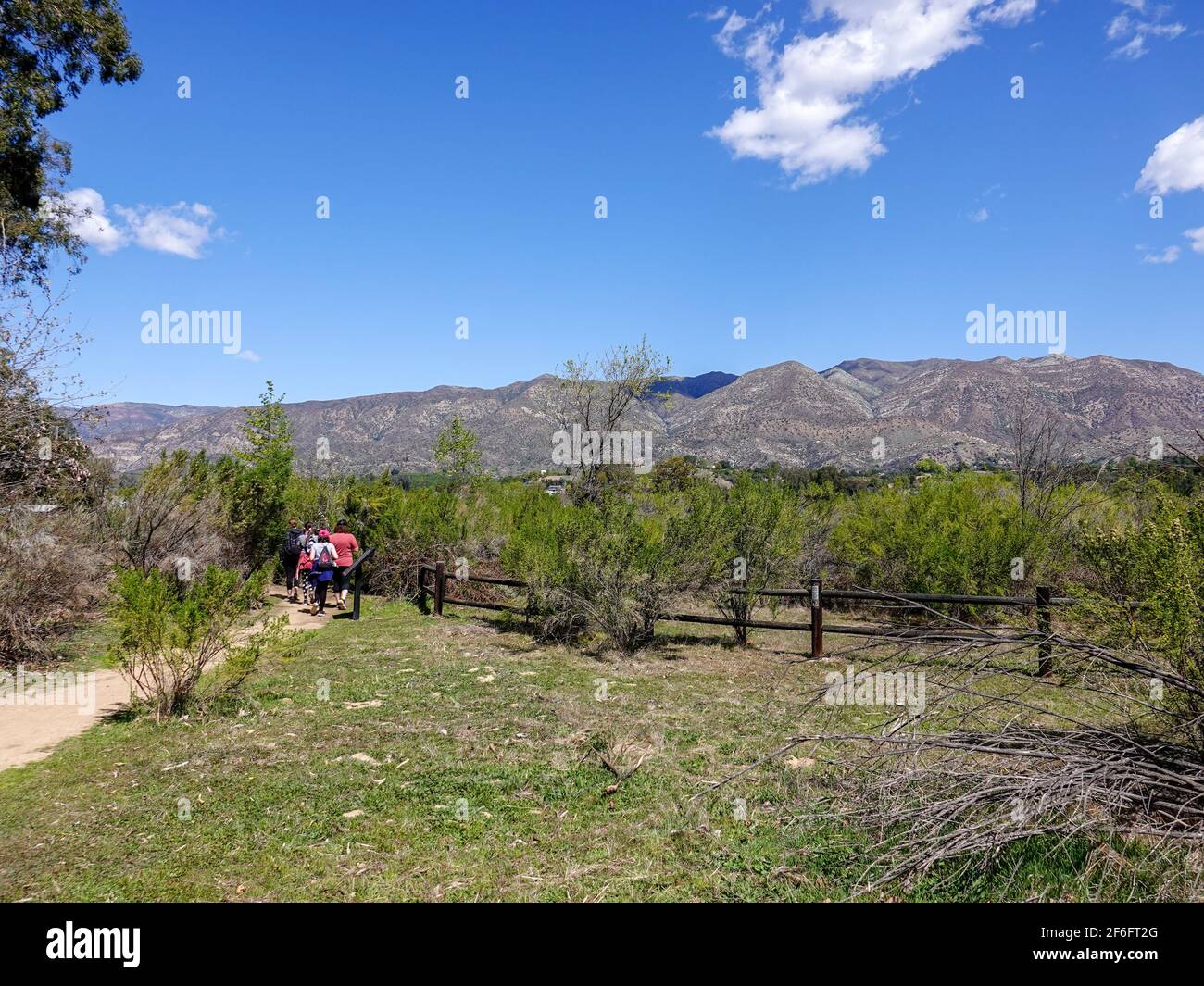 Quatre femelles actives, deux filles et deux femmes, randonnée sur un sentier de la vallée d'Ojai dans la réserve de Meadows, Ojai, Californie, États-Unis. Banque D'Images