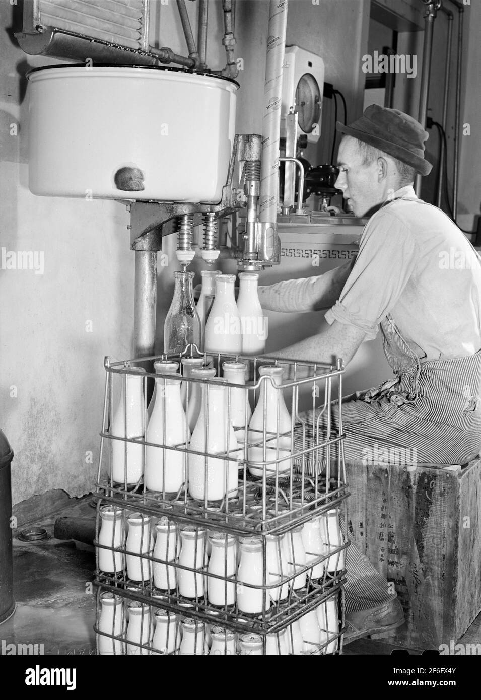 Producteur laitier, une administration de la sécurité agricole (FSA) locataire achat emprunteur, embouteillage de lait à l'usine de pasteurisation, comté de Caswell, Caroline du Nord, États-Unis, Marion Post Wolcott, Administration américaine de la sécurité agricole, octobre 1940 Banque D'Images