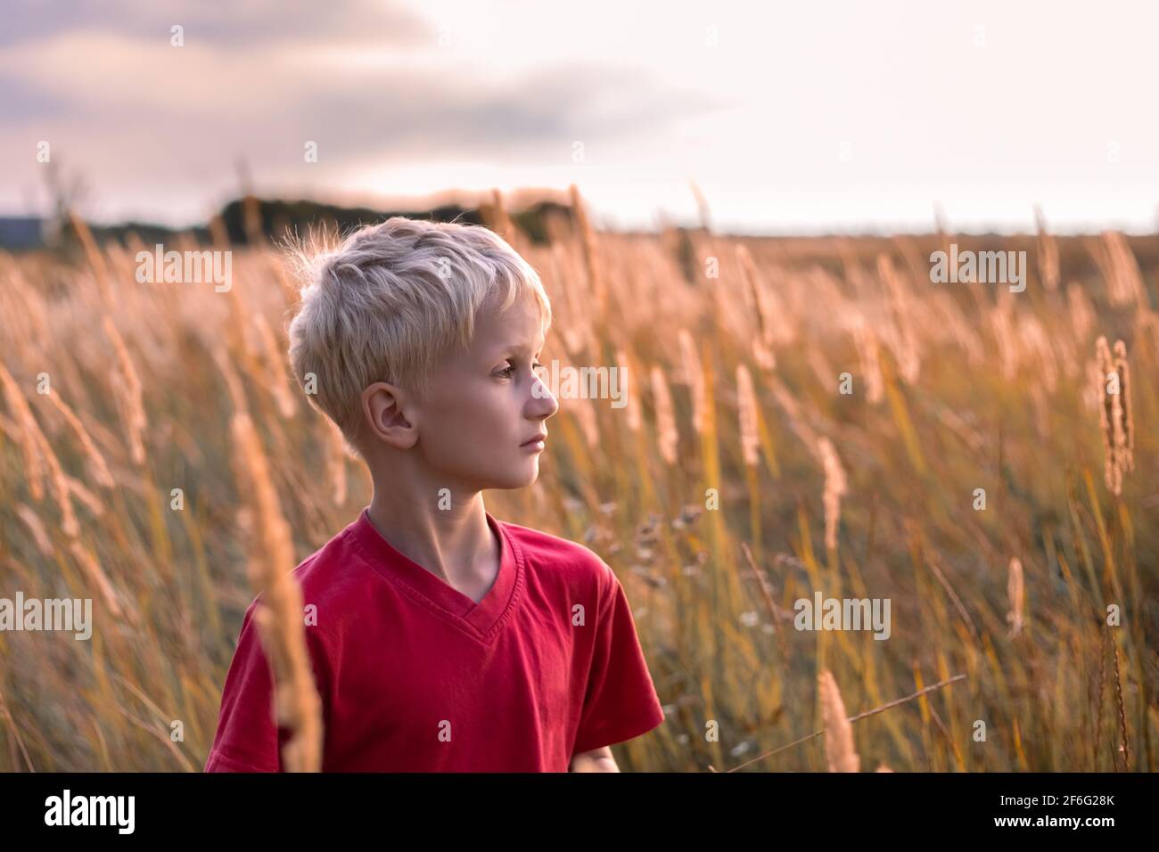 Un garçon blond sur un terrain avec des épillets d'herbe au coucher du soleil, regarde au loin. Vacances dans le village. Banque D'Images