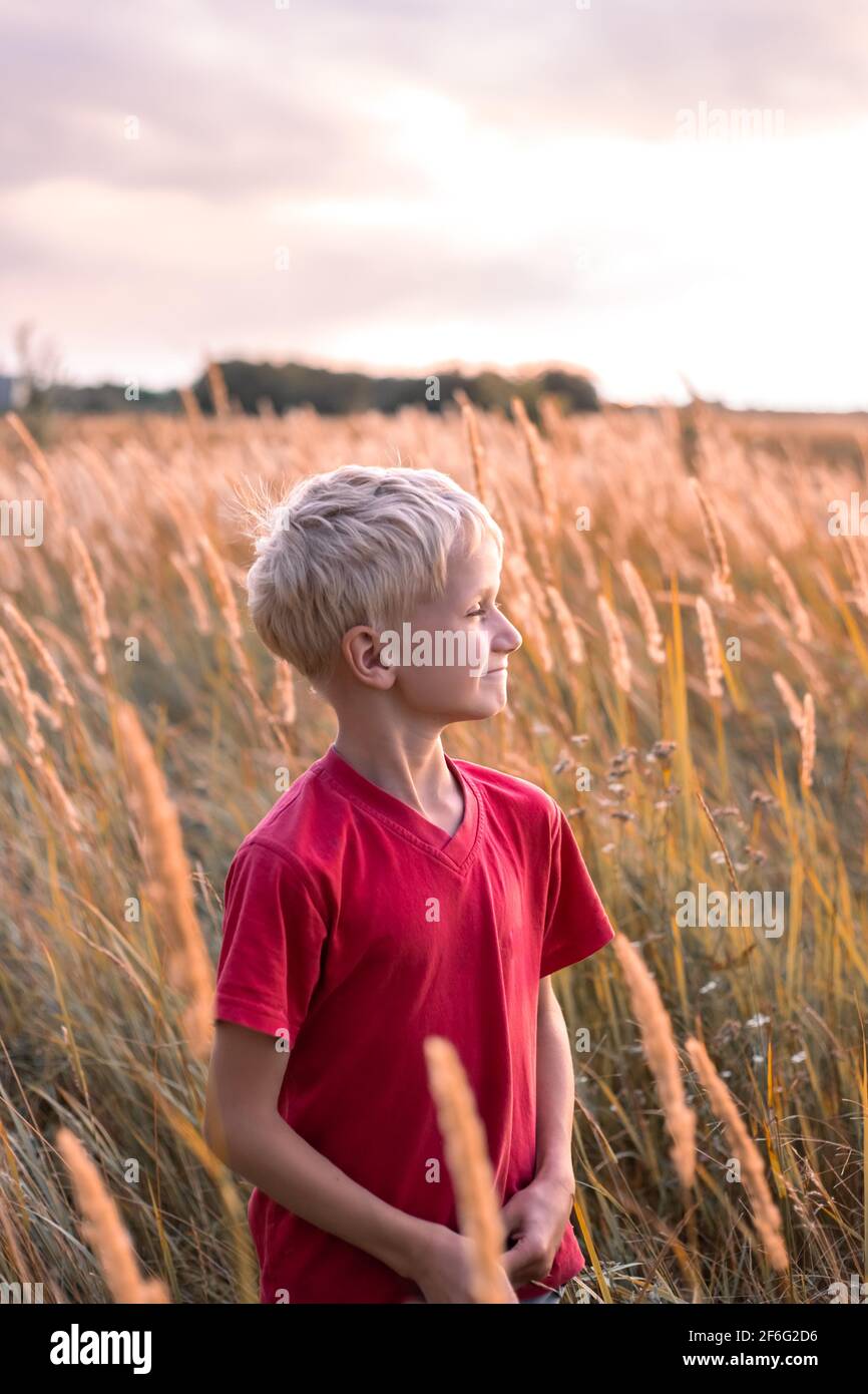 Un garçon blond sur un terrain avec des épillets d'herbe au coucher du soleil, regarde la distance et sourit. Week-end dans le village. Banque D'Images