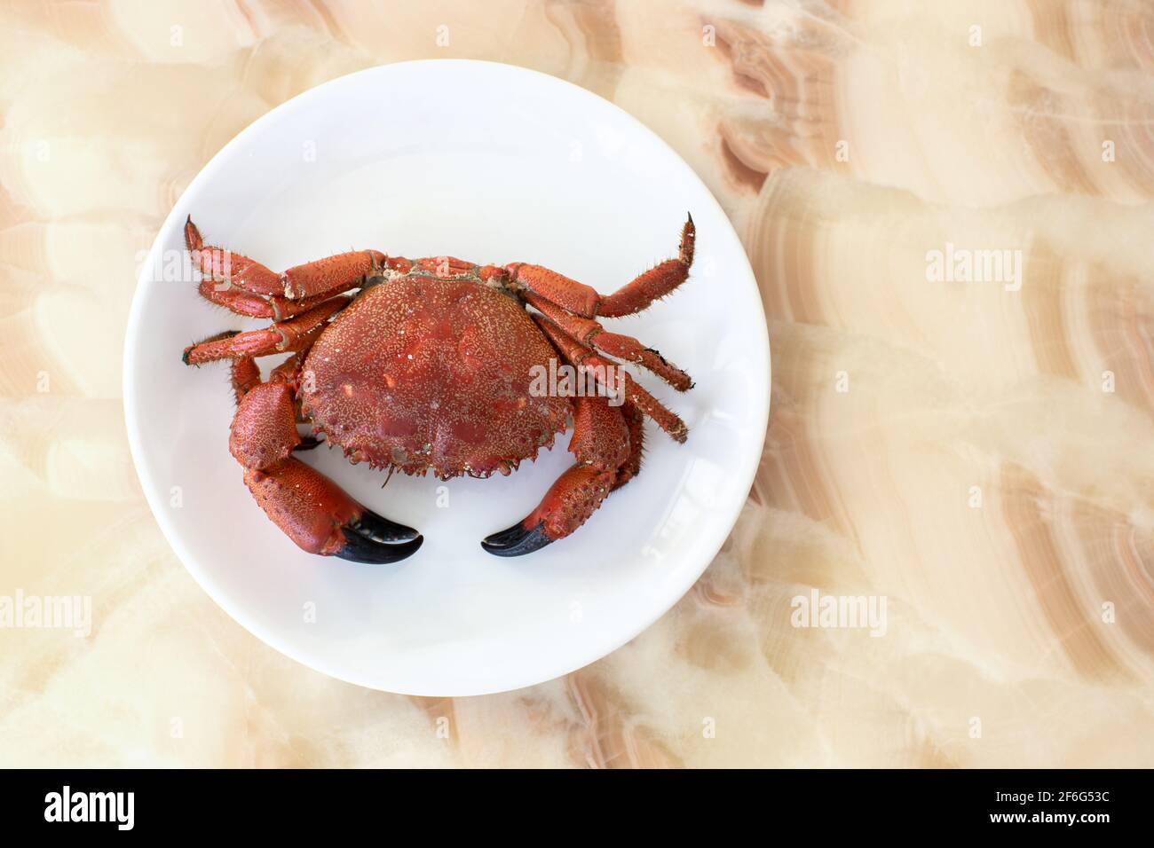 Un crabe entier cuit sur une assiette blanche, sur une table onyx, en  lumière douce. Concept de cuisine méditerranéenne, régime, keto, nourriture  saine. Vue de dessus, placer pour Photo Stock - Alamy