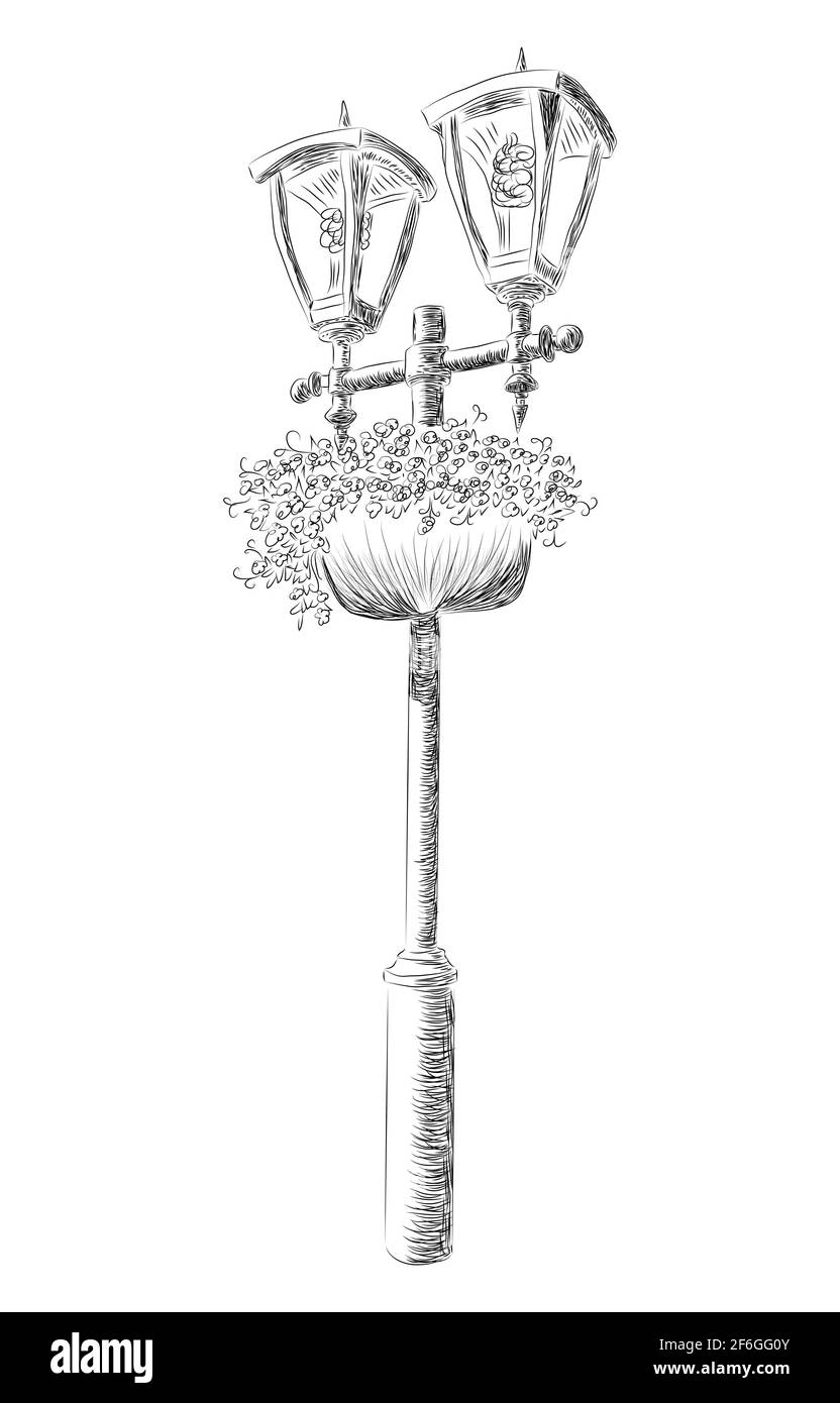 Lampadaire de rue, dessiné à la main, dessin noir et blanc avec fleurs Illustration de Vecteur