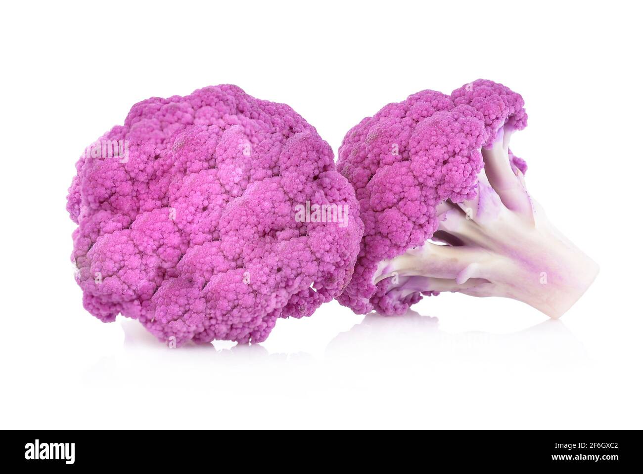 Purple brassica oleracea isolé sur fond blanc Banque D'Images