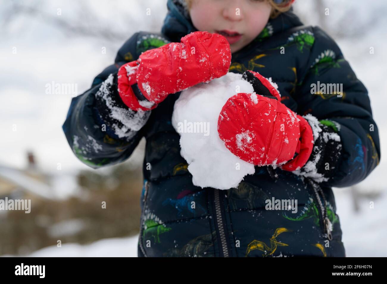 Garçon (6-7) tenant le ballon de neige Banque D'Images