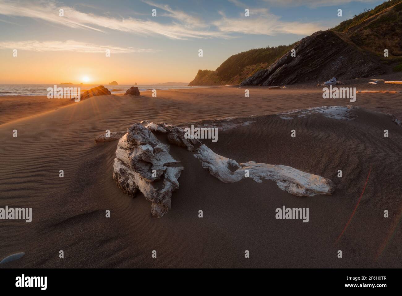 États-Unis, Oregon, Driftwood dans le sable sur la plage au coucher du soleil Banque D'Images