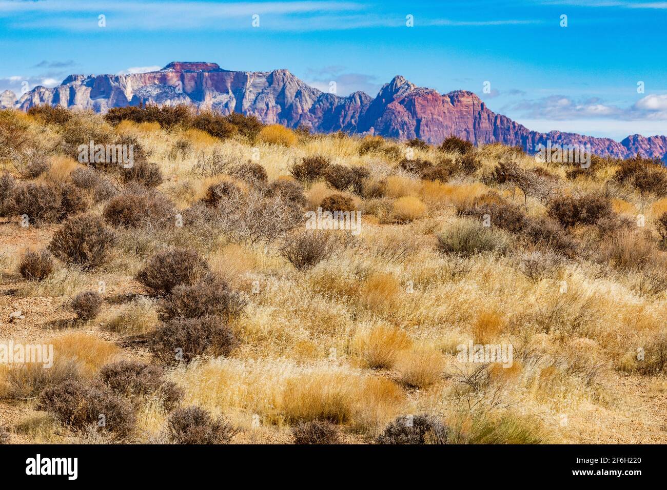 États-Unis, Utah, Springdale, montagnes près du parc national de Zion Banque D'Images