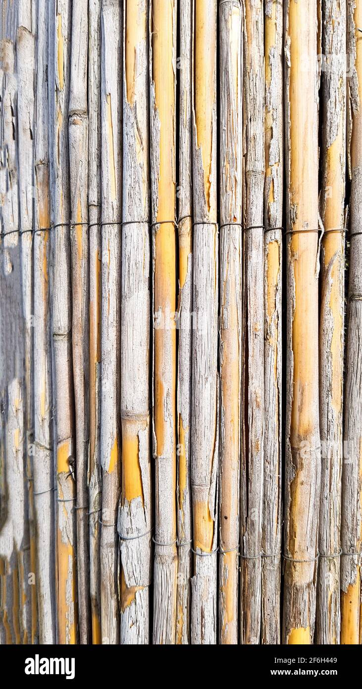 Fond modèle bambou poteaux revêtement gris jaune rugueux modèle d'intempéries nature matériau de construction matériau de clôture cadre décor asie tropical desig Banque D'Images