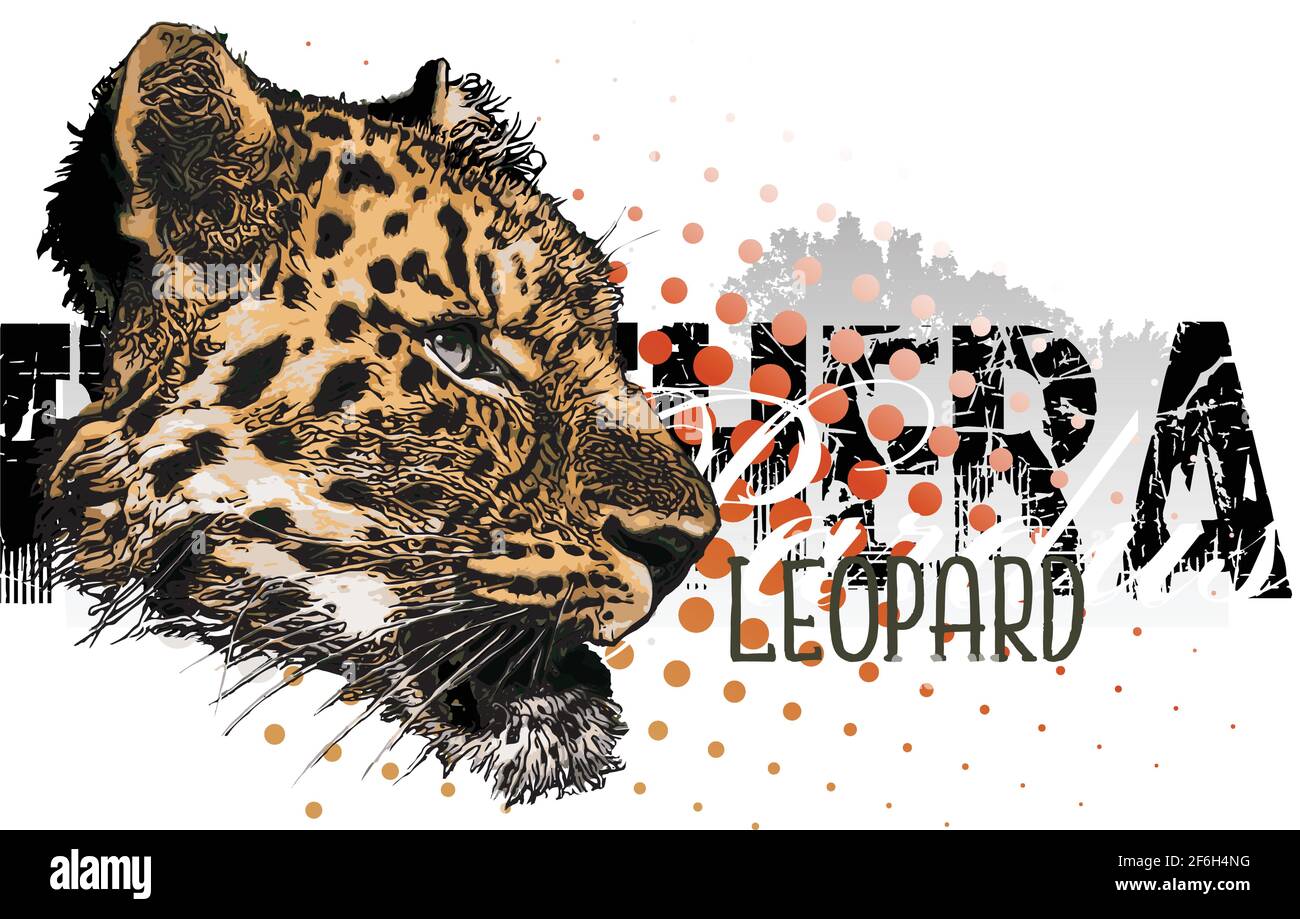 Illustration du vecteur de bannière Leopard Head sur le fond de la forêt tropicale Sillector Illustration de Vecteur