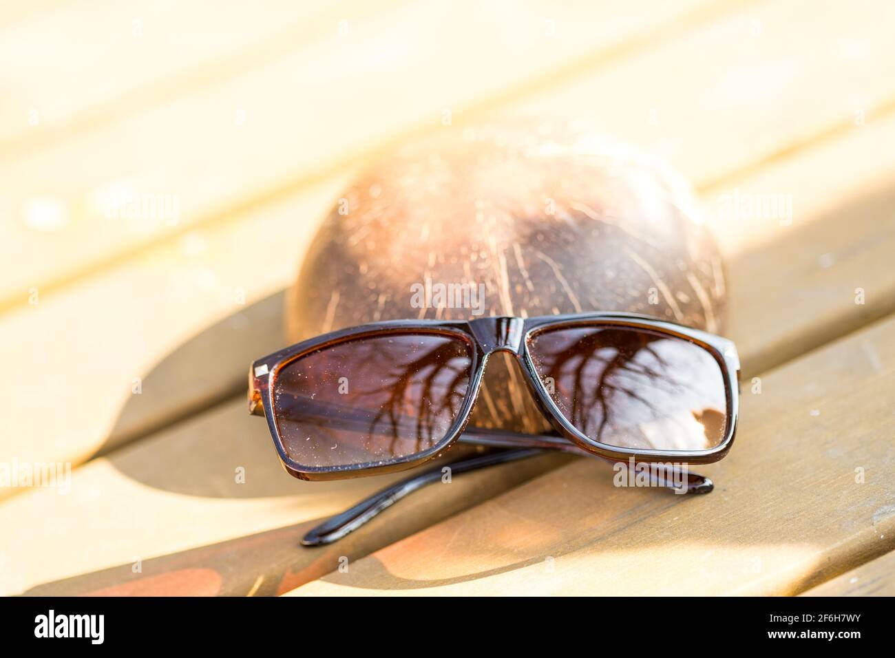 Lunettes de soleil classiques design pour hommes et femmes avec verres bruns et cadre brun Shoot à l'extérieur dans un jour d'été gros plan. Mise au point sélective Banque D'Images