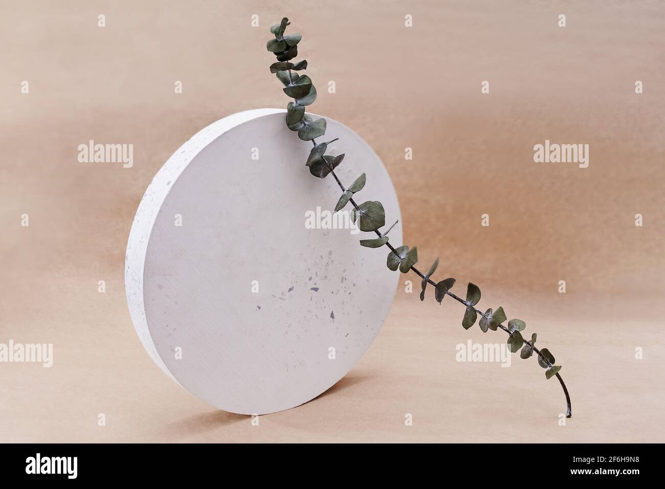 Composition minimaliste créative avec cercle de béton et brunch à l'eucalyptus. Banque D'Images
