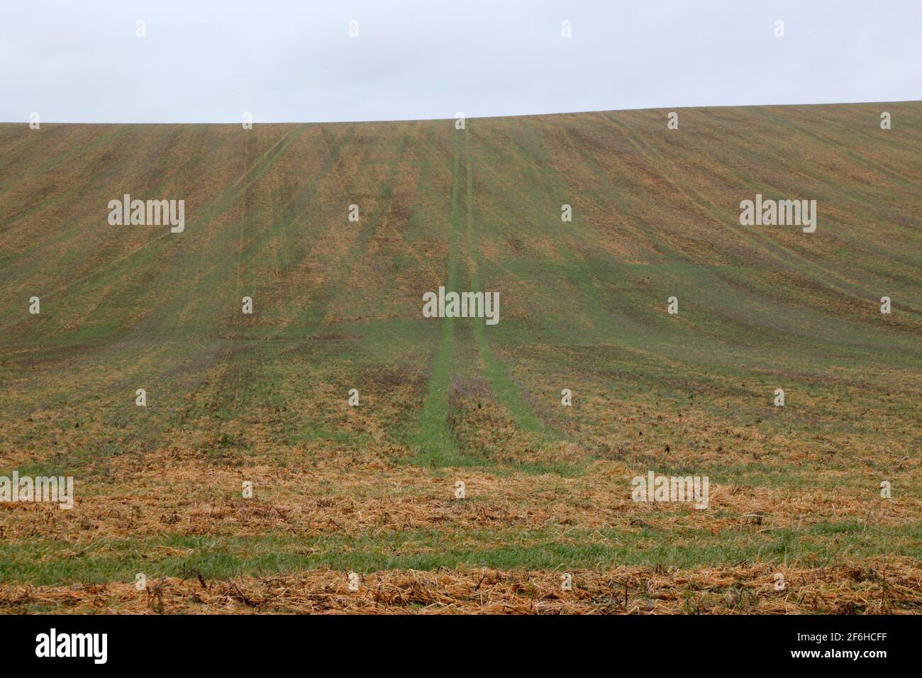 Scary Hill, Lambourn Downs, Oxfordshire, Angleterre, Royaume-Uni Banque D'Images