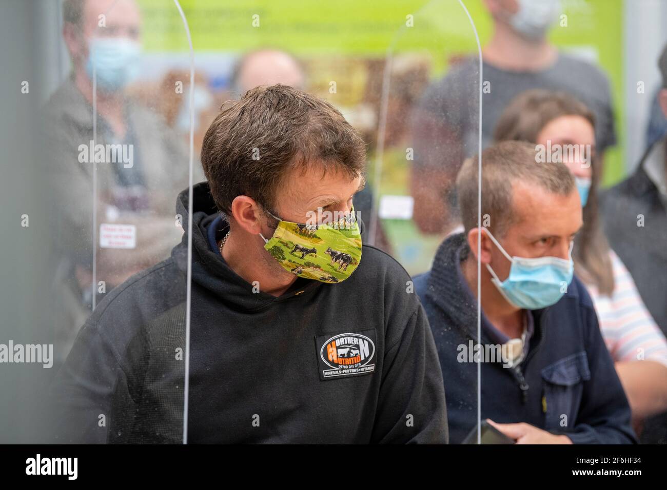 Les agriculteurs qui se sont encan dans un magasin d'élevage britannique pendant la pandémie de Covid-19 en 2020, portent des masques faciaux et des distanciages sociaux. Cumbria, Royaume-Uni. Banque D'Images