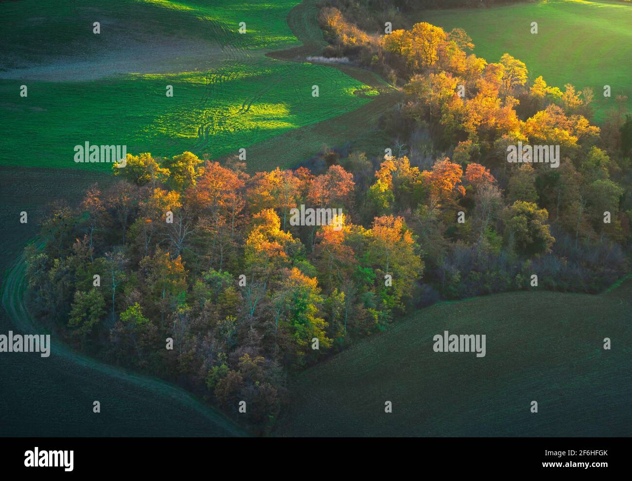 Paysage d'Auticolonne, collines ondulantes et bois colorés en forme de coeur au coucher du soleil. Asciano, Sienne, Toscane. Italie, Europe. Banque D'Images