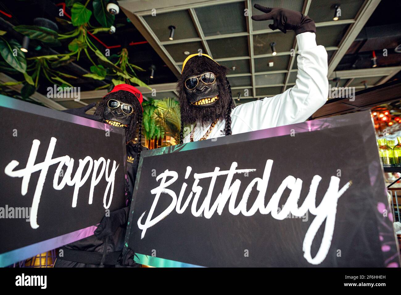 Deux Personnes En Costumes De Singe Tiennent Des Signes Joyeux Anniversaire Photo Stock Alamy