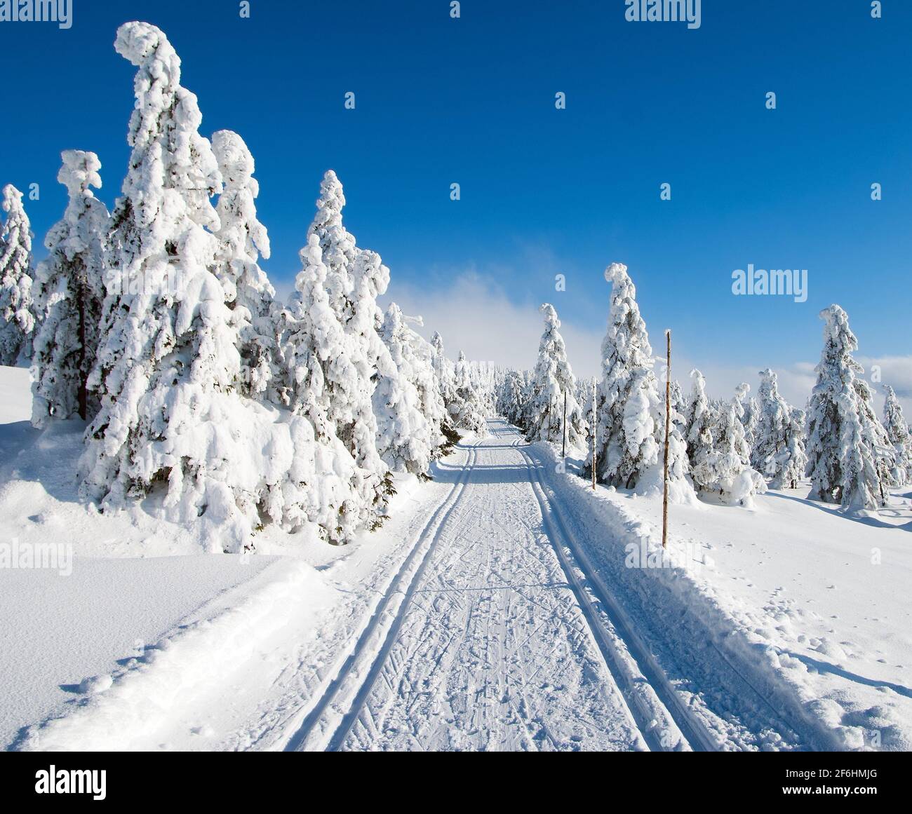 Wintry landscape paysage avec modification du ski de façon Banque D'Images