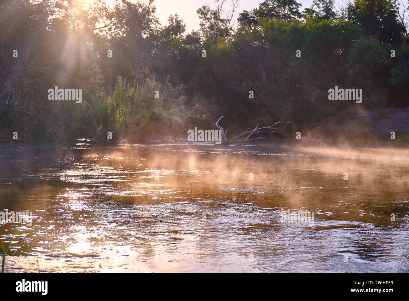 Atmosphère mystérieuse sur la rivière du matin; brouillard magique dans la vallée de la rivière au lever du soleil Banque D'Images