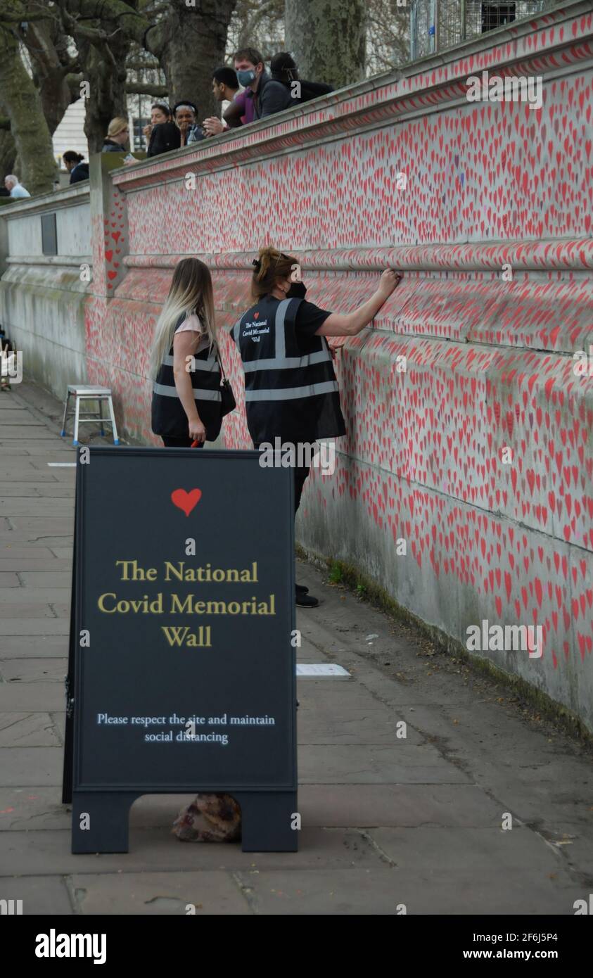 La création du mur commémoratif national de Covid à Londres. Banque D'Images