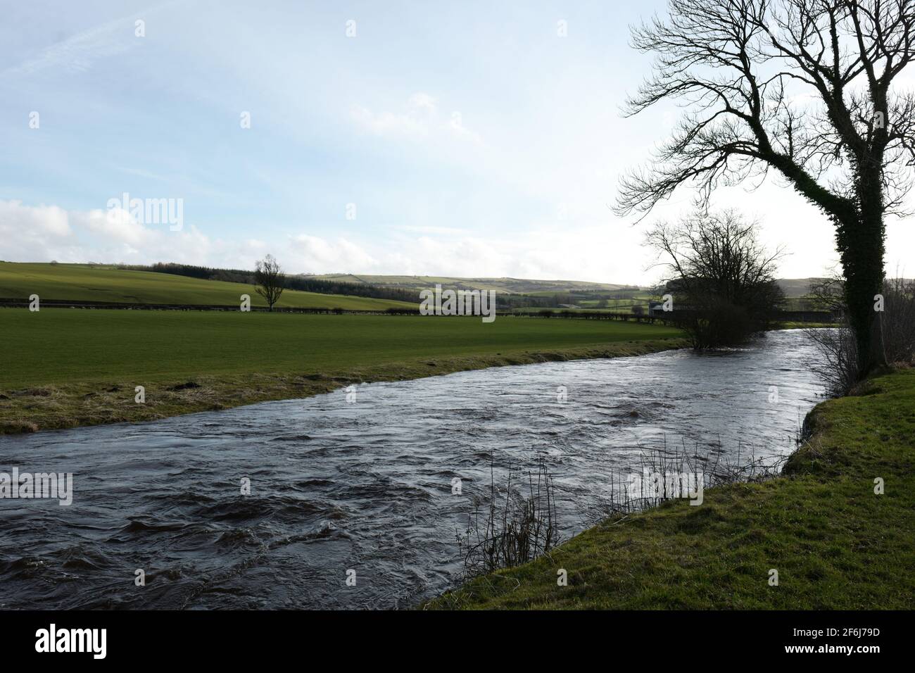 Campagne près des rives de la rivière Doon au village écossais de Dalrymple, Ayrshire. Banque D'Images