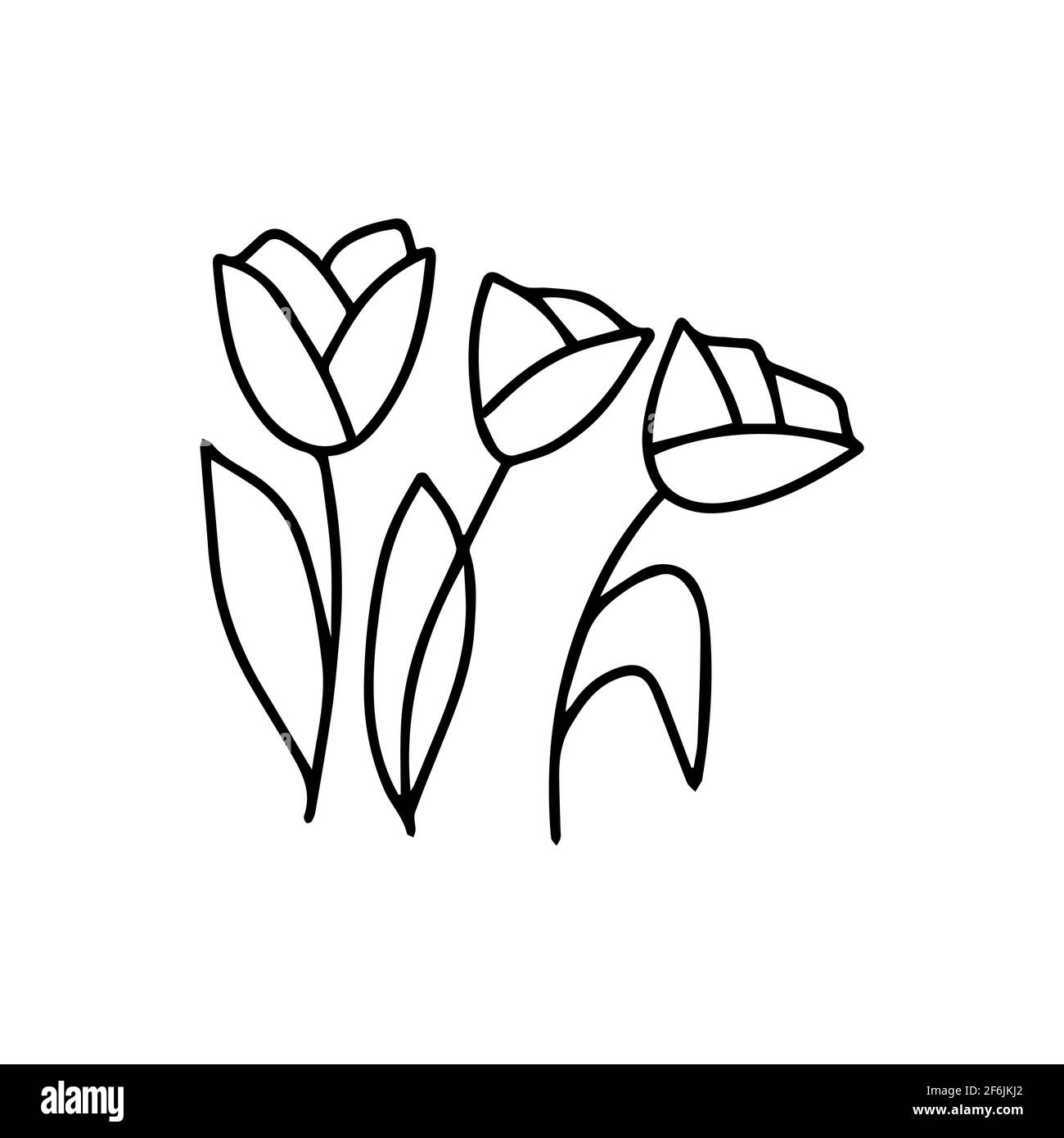 Trois Tulips vecteur noir et blanc illustration isolée en style doodle, fleur, cadeau de vacances, printemps et été saison. Bouquet dessiné à la main Illustration de Vecteur