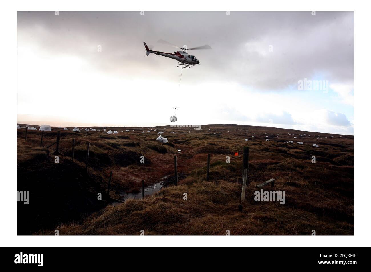 Le National Trust utilise un hélicoptère pour transporter des centaines de tonnes d'usines de bruyère à Bleaklow Bog, près de Glossop dans le Peak District, pour essayer de restaurer les tourbières de Peat érodantes. pic David Sandison Story Cahil MILMO 30/1/2008 Banque D'Images