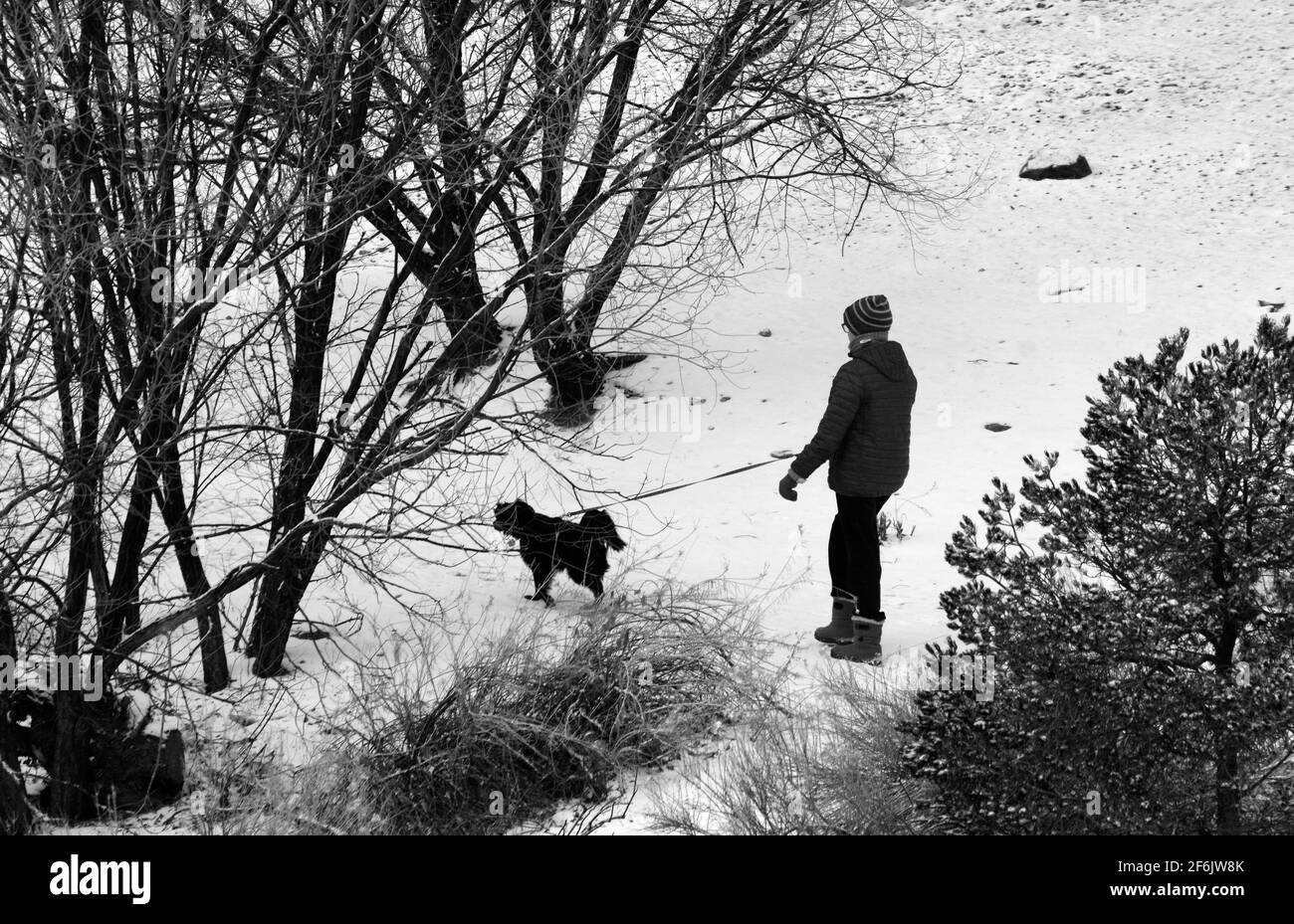 Une femme marche son chien le long d'un sentier naturel après une légère chute de neige au Nouveau-Mexique. Banque D'Images
