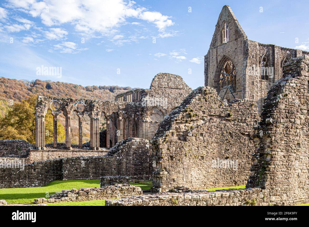Abbaye de Tintern, abbaye cistercienne du XIIe siècle sur les rives de la rivière Wye à Tintern, Monbucshire, pays de Galles, Royaume-Uni Banque D'Images