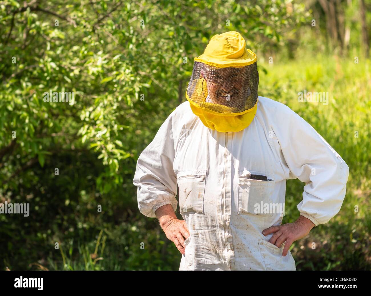 Portrait d'un gardien souriant avec chapeau d'apiculteur et voile dans le  jardin Photo Stock - Alamy