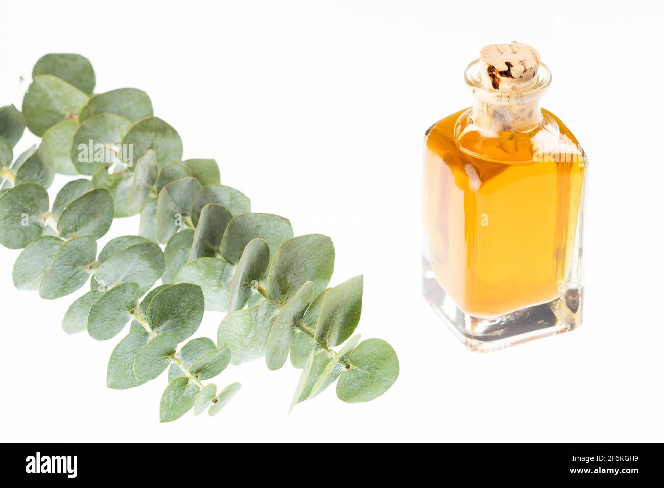 Huiles essentielles d'eucalyptus en bouteille de verre Banque D'Images