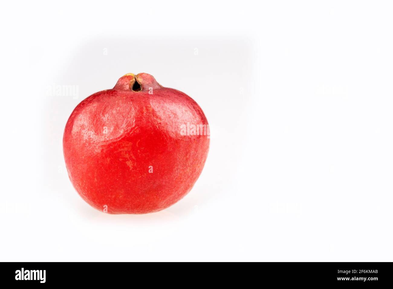 Fraise rouge Guava - Psidium cattleianum Banque D'Images