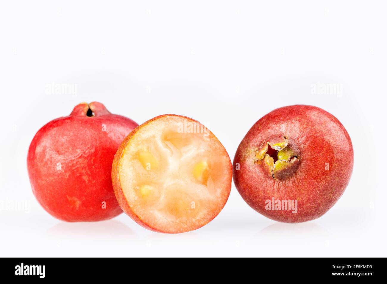 Psidium cattleianum - Cattley guava. Espace de texte Banque D'Images