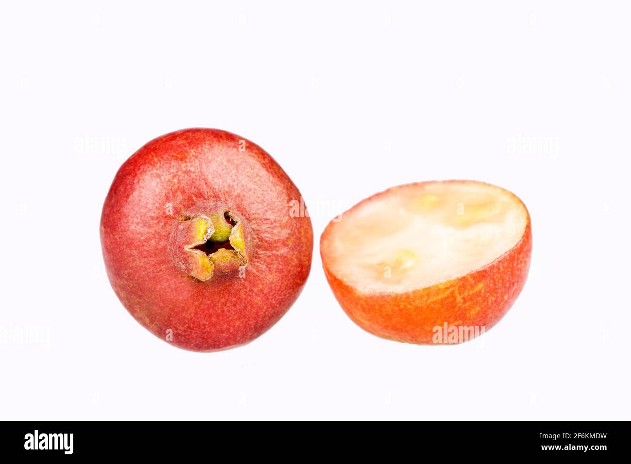 Psidium cattleianum - Guavas fraise. Espace de texte Banque D'Images