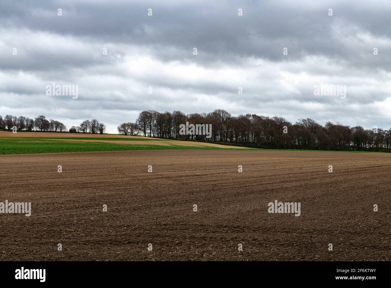 Terres agricoles à Howell Woods Banque D'Images