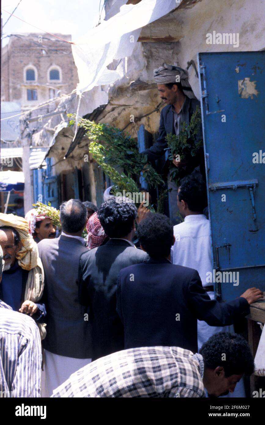 Commerce de Khat sur le marché, Sanaa, Yémen Banque D'Images